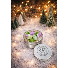 Lavanta Metal Kutu Mum