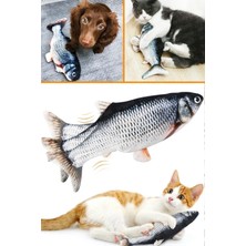 Normadia Renkli ve Eğlenceli Hareketli Balık Kedi Oyuncak, Kedi Sevgiyle Oynar