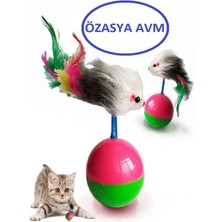 Normadia Renkli ve Eğlenceli Kedi Oyunu Topu, Aktif ve Mutlu Kediler Için Ideal