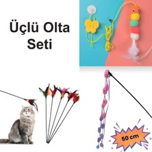 Normadia Eğlenceli Üçlü Kedi Oyun Olta Seti, Hareket ve Eğlence Için!