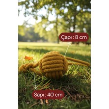 Normadia Dayanıklı Pamuk Ipli Köpek Oyuncağı, Doğal Top ve Çekiştirme, Medium