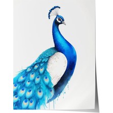 Zestia Poster Zarif Mavi Tavus Kuşu Illüstrasyonu Salon Dekoru