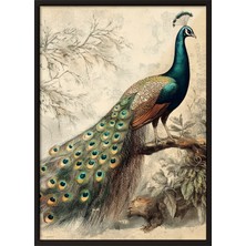 Zestia Siyah Çerçeveli Duvar Tablosu Asil Tavus Salon Dekoru