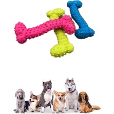 Normadia Tırtıklı Yüzeyli Küçük Köpek Kemik Oyuncağı