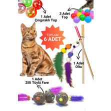 Normadia 6'lı Kedi Oyun Seti: Oltası, Toplar ve Zilli Fare ile Eğlence