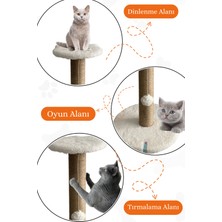 Normadia Eğlenceli Tırmalama Oyuncağı ile Kedinizin Keyfini Çıkarın