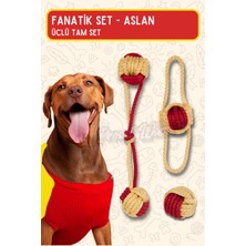 Normadia Renkli Köpek Oyuncağı Seti, Diş Ipi ve Top, Orta Iri Irk Için Eğlence