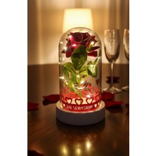 Ceviz Dizayn Sevgiliye Hediye Işıklı Fanusta Gül – Fanusta Gül Hediye Seti (Tamamlayıcılarıyla)