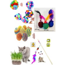 Normadia Eğlenceli 5'li Kedi Oyuncağı Seti: Oltası, Çimi, Pon Pon ve Sesli Top