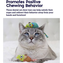 Normadia Eğlenceli Kedi Oyuncağı, Çiğneme ve Oyun Için Renkli Mice Tasarımı