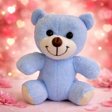 ÜçKol Ticaret Mavi Peluş Ayı