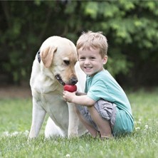 Normadia Büyük Ödüllü Köpek Oyuncağı, Classic Tasarım, 15.5 Cm, 1 Adet