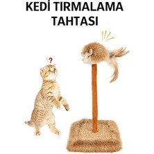 Normadia Sesli ve Oyuncaklı Kedi Tırmalama Tahtası, Eğlence ve Tırnak Bakımı