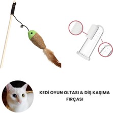 Normadia Eğlenceli Kedi Oyun Oltası ve Silikon Diş Kaşıma Fırçası Seti