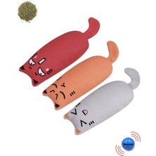 Normadia 3'lü Otlu Çıngıraklı Kedi Oyuncağı Seti