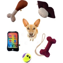 Normadia Renkli 5'li Köpek Oyuncak Seti, Kemik Temalı Eğlence ve Egzersiz
