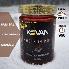 Doğal Kovan Ham Kestane Balı - 500 Gr Organik Yayla Kestane Balı Şekersiz Analizli Doğal Bal
