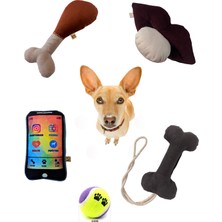 Normadia 5'li Köpek Oyuncak Seti Kemik Tasarımlı Eğlenceli ve Dayanıklı