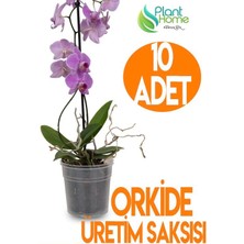 10 Adet Orkide Üretim Saksısı - Plastik Şeffaf Orkide Üretimine Uygun Saksı