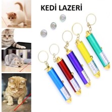 Normadia Eğlenceli Kedi Oyuncağı ile Hareket ve Neşe Dolu Anlar