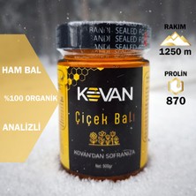 Doğal Kovan Ham Çiçek Balı - 500 Gr Organik Yayla Çiçek Balı Şekersiz Analizli Doğal Bal