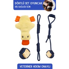 Normadia Dörtlü Peluş Köpek Oyuncağı Seti, Sesli ve Çekiştirmeli Eğlence Hediye