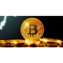 Bitcoin Fiziksel Koleksiyon Hobi Parası Sikke