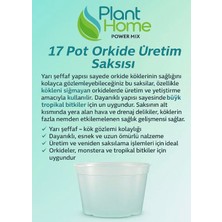 17 Pot Orkide Üretim Saksısı - Tropikal Bitki ve Köklü Bitkiler Için Özel Üretim Saksısı 2 Adet