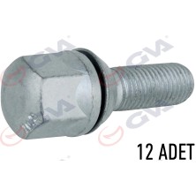 GVA BİJON CİVATASI RENAULT 9-11 PULLU-GEOMET PAKET 12 8200058101 (12 ADET)