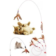 Normadia Renkli Kedi Oyun Oltası ile Eğlence Dolu Anlar Yaşayın