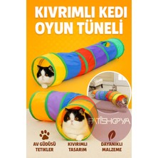 Normadia Kıvrımlı Katlanabilir Evcil Hayvan Oyun Tüneli, Renkli ve Eğlenceli