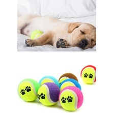 Normadia Renkli Desenli 3'lü Tenis Topu, Evcil Hayvanlar Için Eğlence Seti