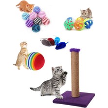 Normadia Eğlenceli ve Renkli Kedi Oyuncak Seti, Hareketli ve Dayanıklı Tasarım