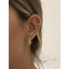 PremiumPort Çift Renk Şans Böceği Küpe, Şıklık ve Zarafet Sunar