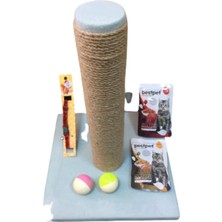 Normadia Eğlenceli ve Renkli Kedi Oyuncak Seti 6 Parça Keyifli Anlar Için