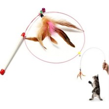 Normadia Renkli Kedi Oltası ile Eğlence ve Oyun Keyfi