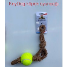 Normadia Tenis Topu Tutma Burgu Köpek Oyuncağı, Eğitim ve Ödül Için Mükemmel