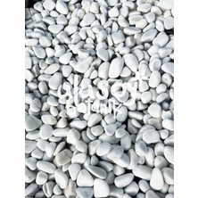 Ulusoy Botanik Dolomit Taş - Dekoratif Beyaz Taş - Bahçe Dekor / 1-2 cm / 5 kg