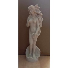 TSC Venüs ' Ün Doğumu 14 cm Mitolojik Yunan Heykeli Ev Dekoru