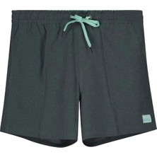 Quiksilver Surfsilk 16 Jamv Erkek Gri Volley Short