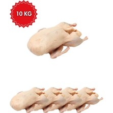 Araz Et Ayvat Ördek Eti 10 kg – Taze ve Besleyici Kırmızımsı Beyaz Et