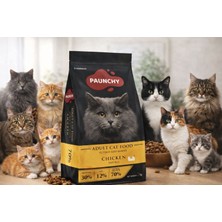 Paunchy Tavuklu Yetişkin Kedi Maması 2 kg