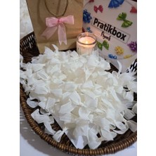 Pratikbox Keten Orta Boy Fiyonk / 1,5 Cm'lik / Hediyelik / Süsleme / Açık Krem Renk / 50 Adet