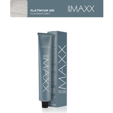 Maxx Deluxe Tüp Boya 60 ml Platinyum Gri