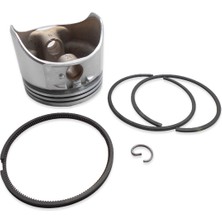 Briggs & Stratton Piston Komple Std 493262 Piston Segman Takımı