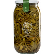 Havaza Kaya Koruğu Turşusu 1200 gr