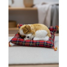 Gifi Peluş Yavru Köpek Oyuncak Minder Üstünde Uyuyan Kedi Küçük Boy 10 x 11
