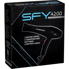 Özbience Güçlü ve Hızlı Saç Kurutma Fön Makinesi, 4200W, Profesyonel Performans