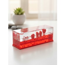 Dörtel Tedarik Kalp Tasarımlı Batmayan Sulu Figür Hediyelik Biblo Sevgililer Günü Hediyesi