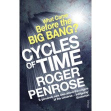 Vintage Cycles Of Time: An Extraordinary New View Of The Universe